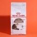 썸네일(스크롤)