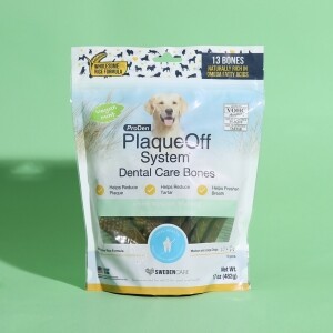 프로덴 플라그오프 덴탈 껌 민트 482g